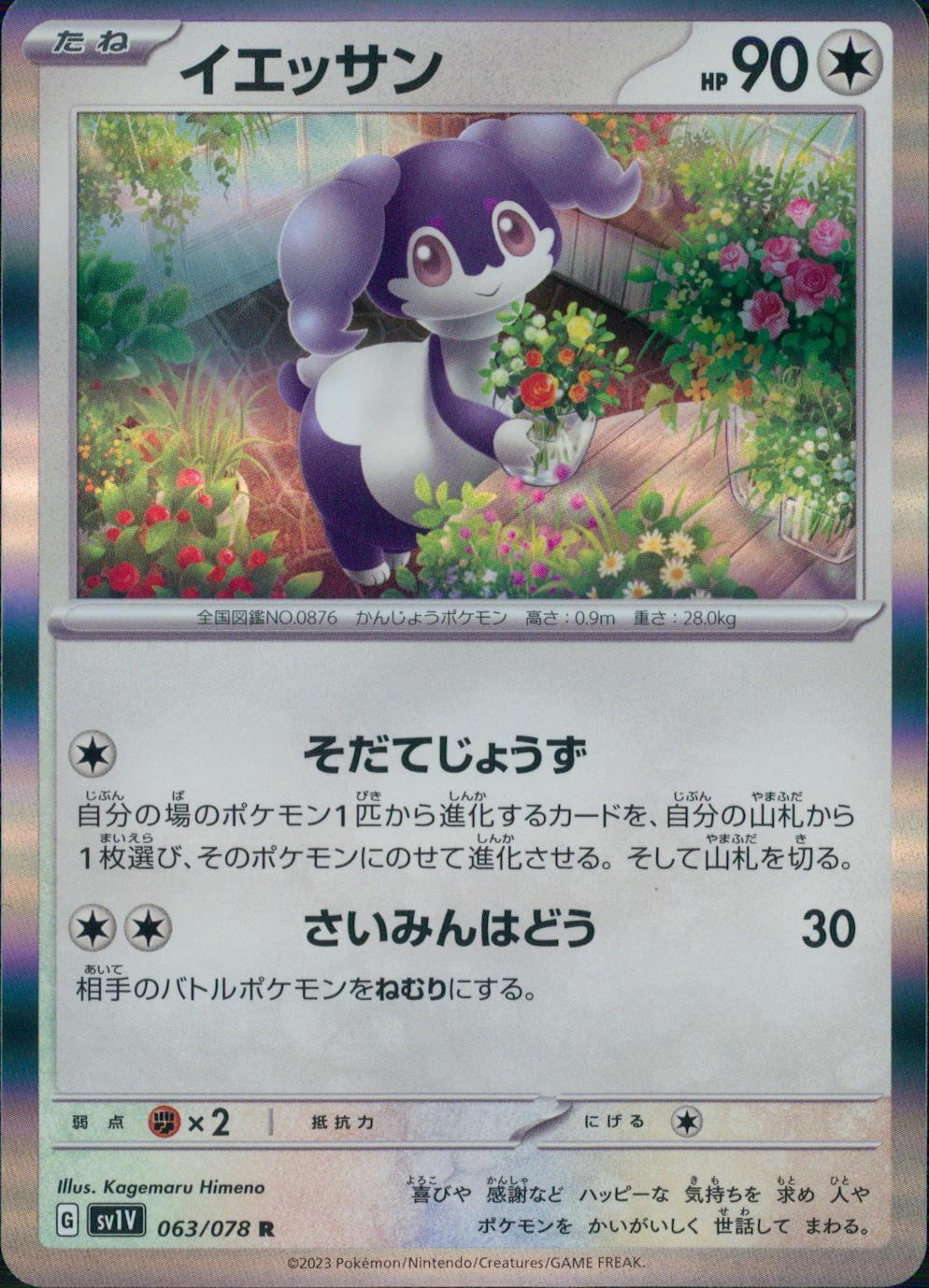 063/078/SV1V/B/R イエッサン