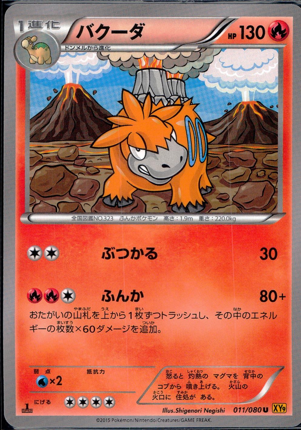 011/080/U/XY9/B バクーダ