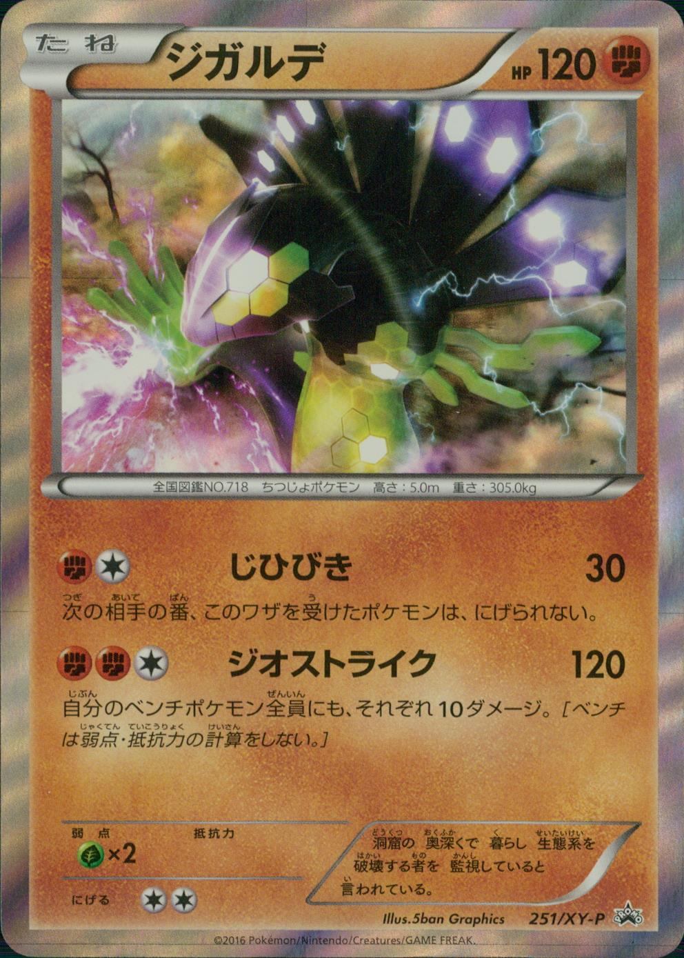 251/XY-P ジガルデ