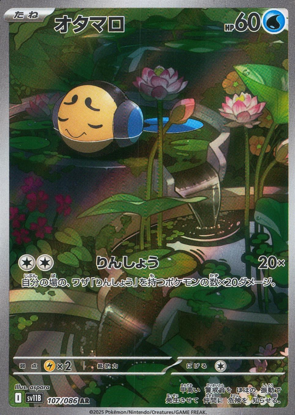 107/086/SV11B/B/AR Otamaro