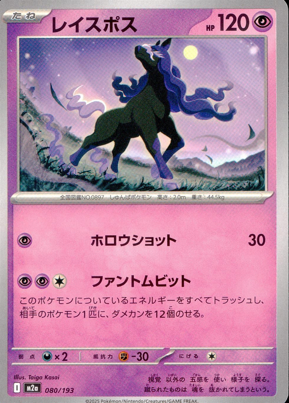 080/193/M2a レイスポス