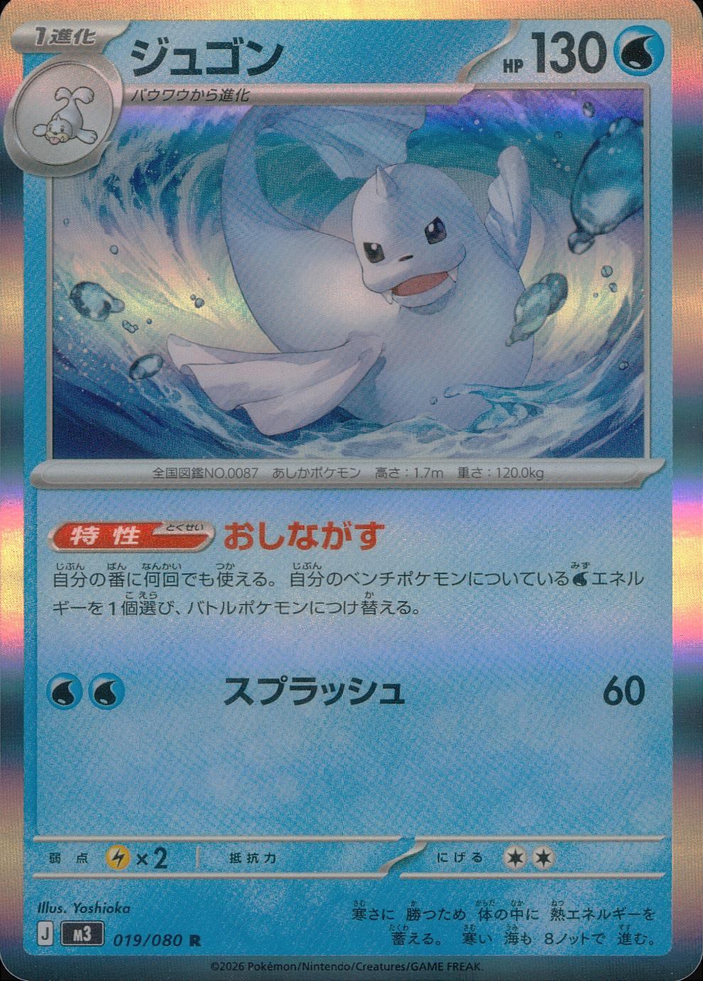 019/080/M3/R ジュゴン