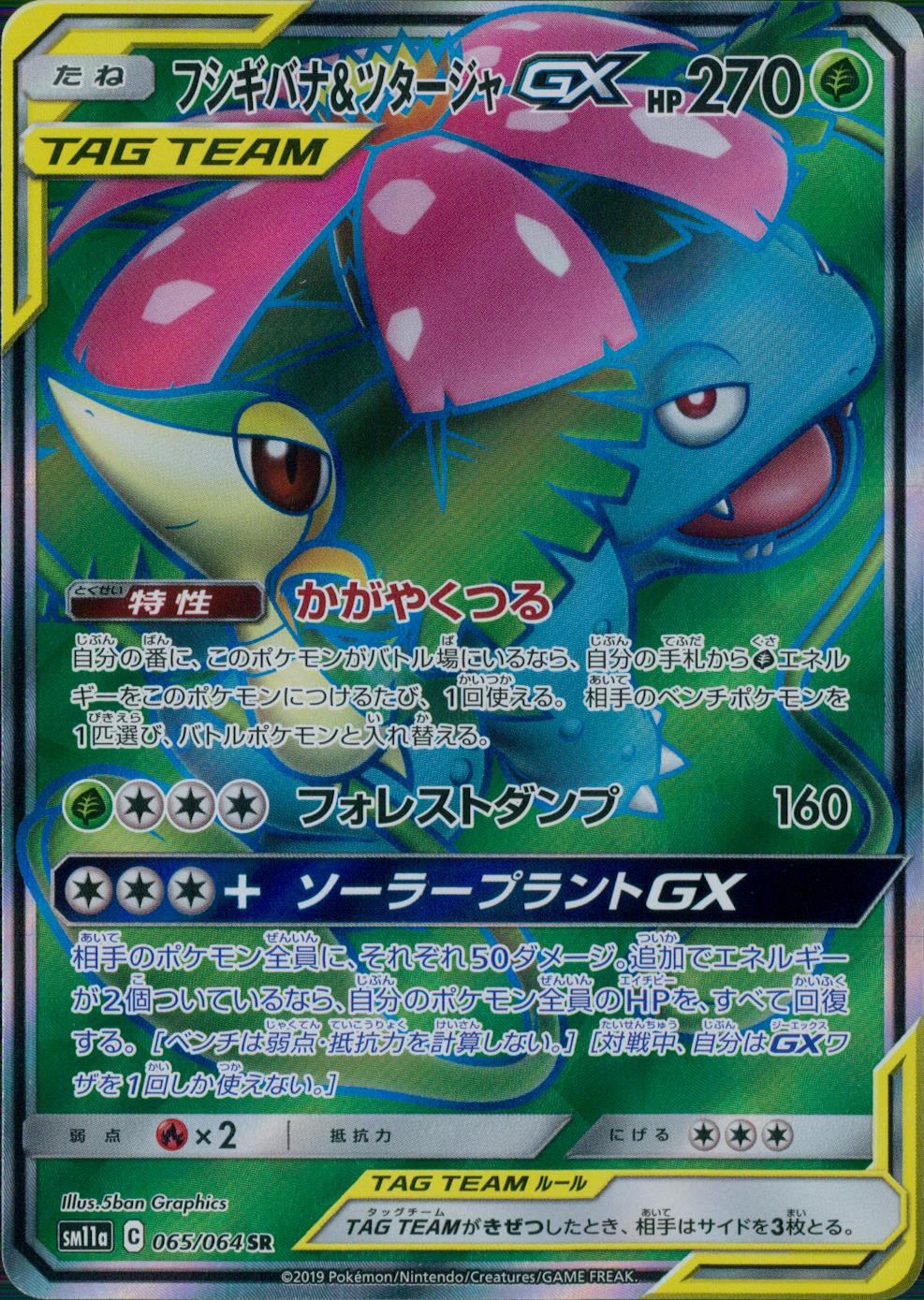 065/064/SM11A/B/SR フシギバナ&ツタージャGX