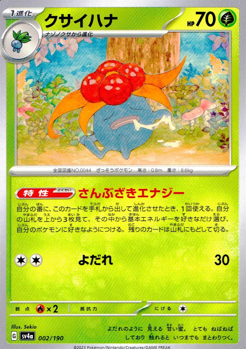 002/190/SV4A/B クサイハナ