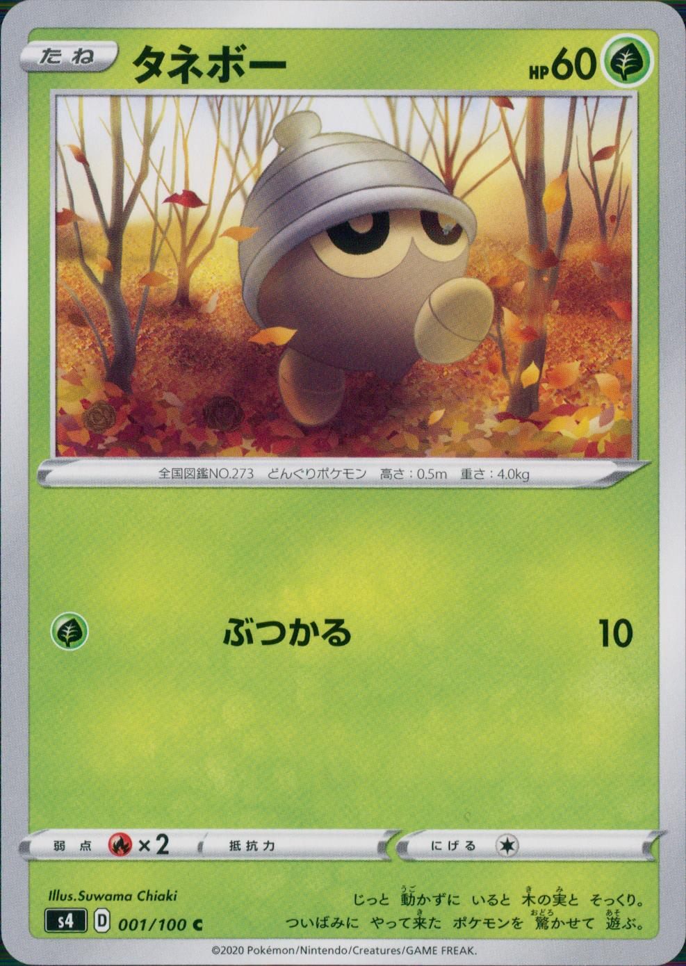 001/100/S4/B/C タネボー