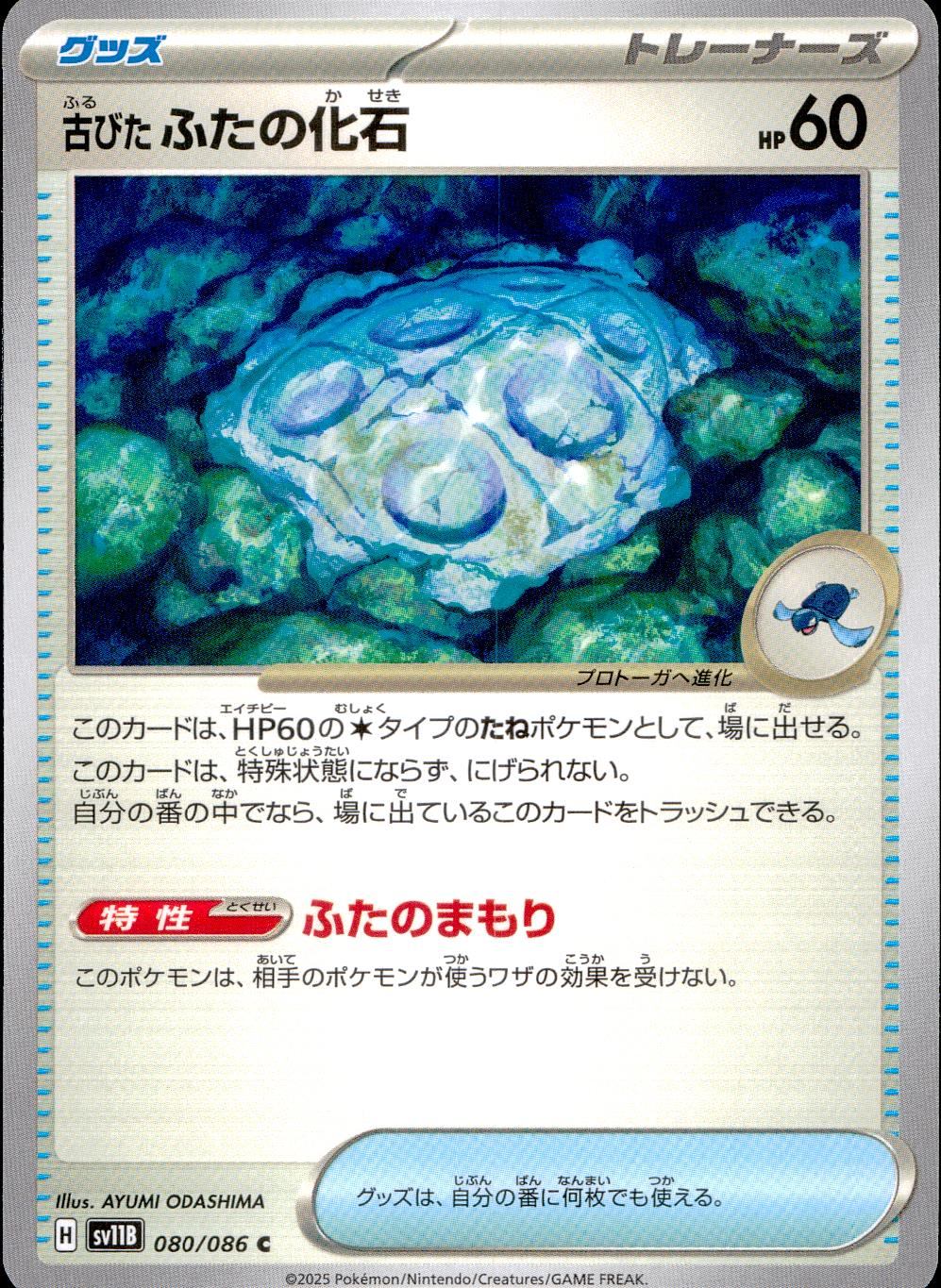 080/086/SV11B/B/C 古びたふたの化石