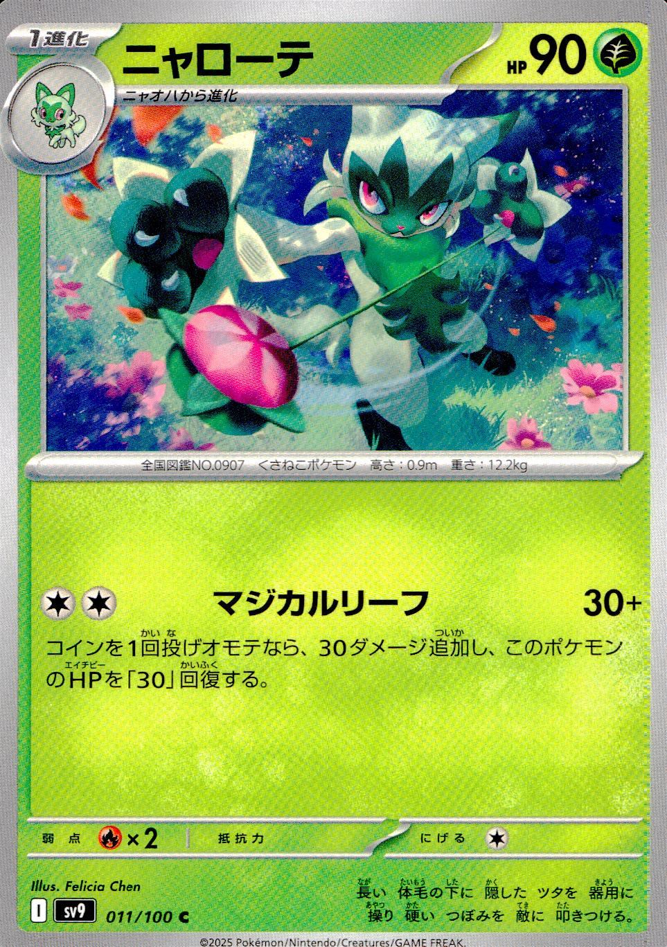 011/100/SV9/B/C ニャローテ
