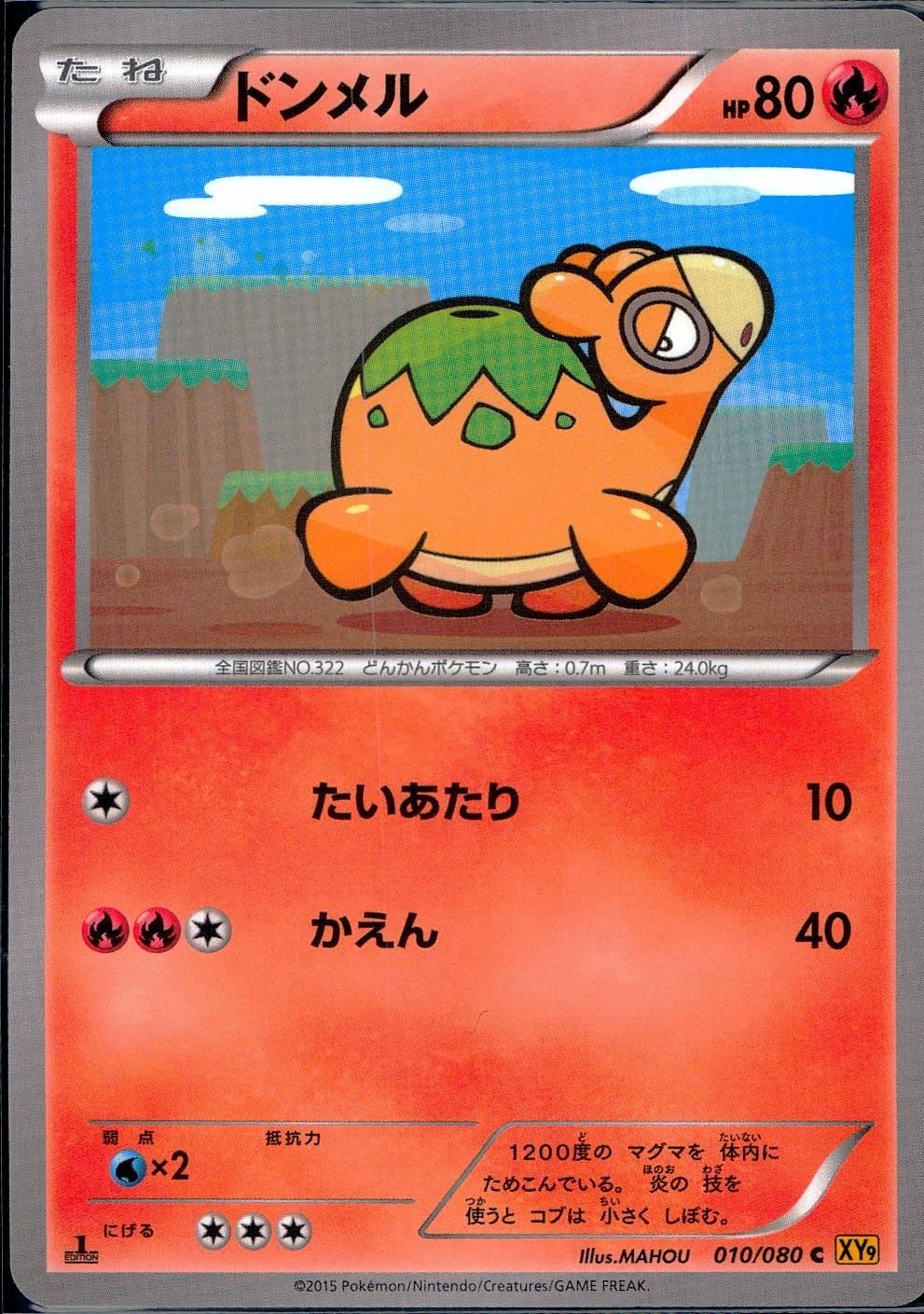 010/080/C/XY9/B ドンメル