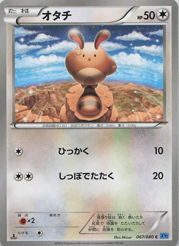 067/080/XY2/C オタチ
