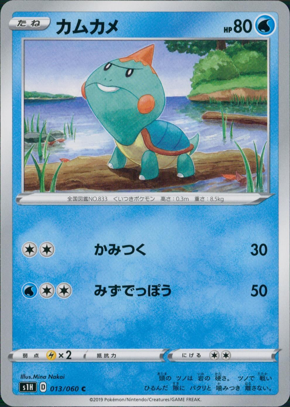 013/060/S1H/B/C カムカメ