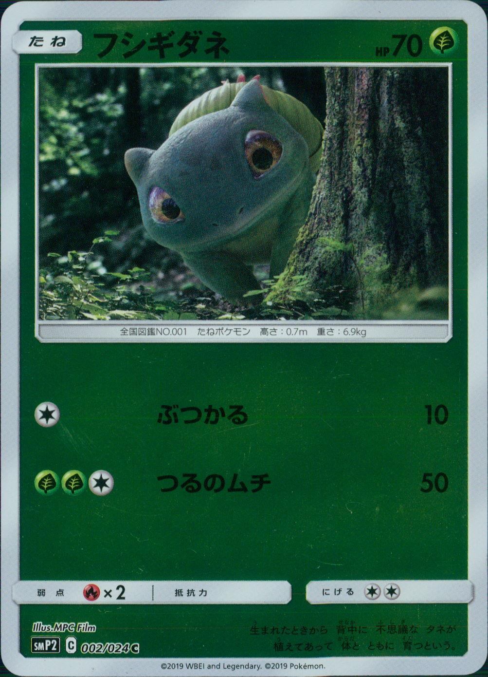 カテゴリー/ポケモン