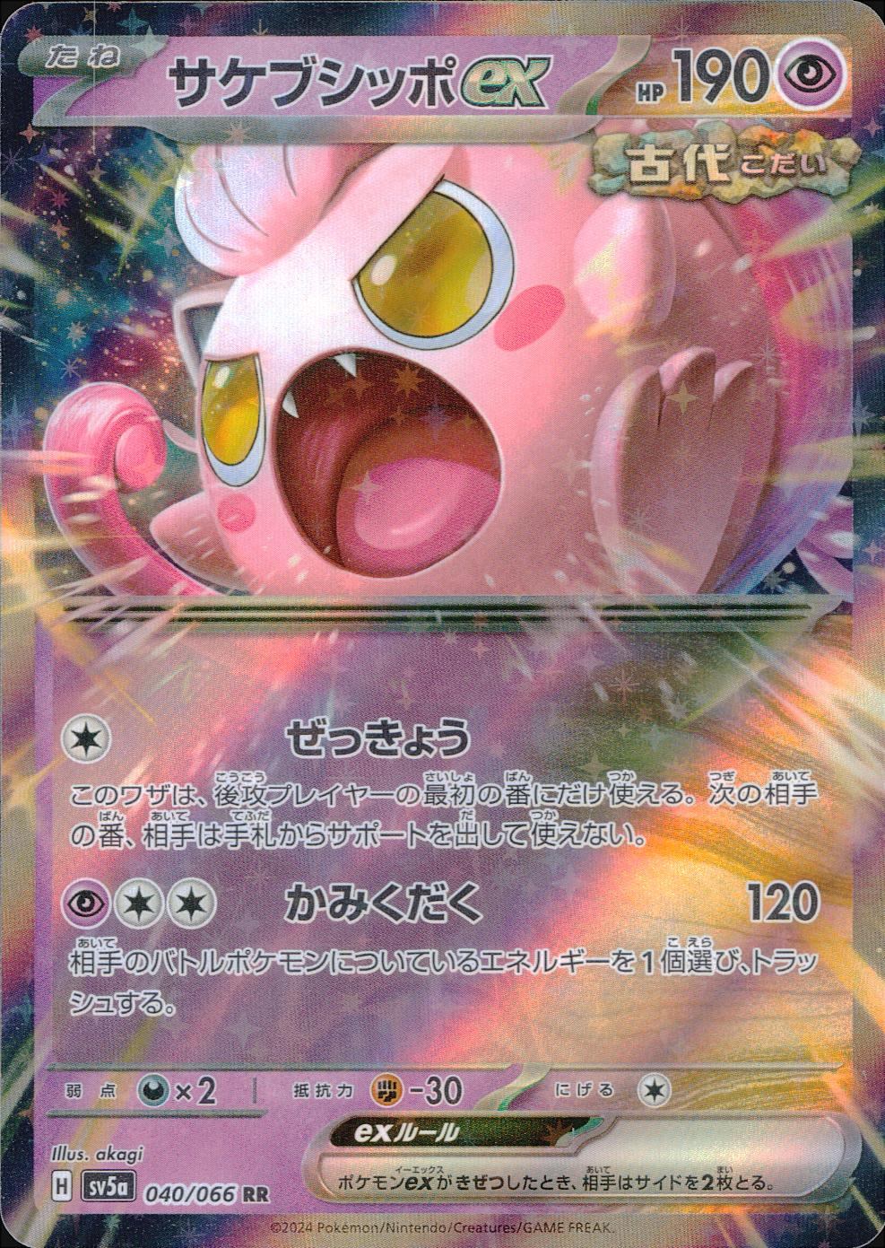 040/066/SV5A/B/RR サケブシッポex