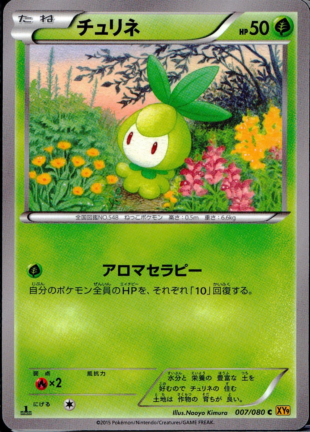 007/080/C/XY9/B チュリネ