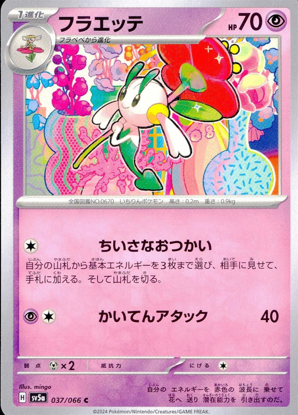 037/066/SV5A/B/C フラエッテ