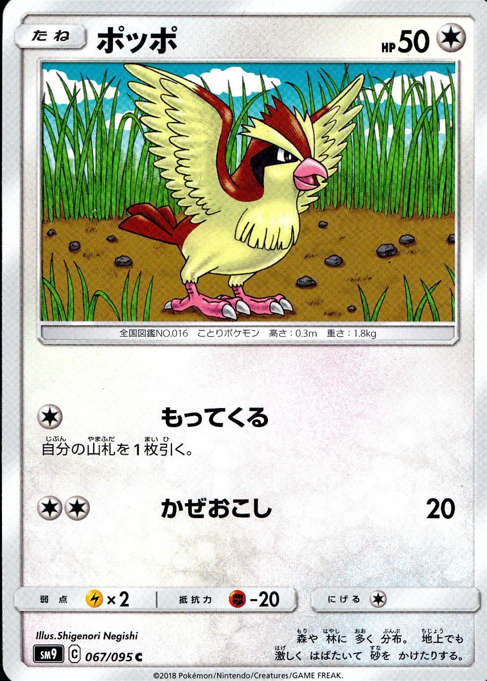 067/095/SM9/B/C ポッポ