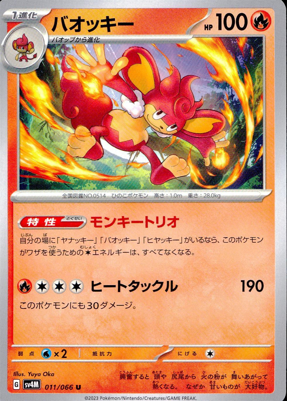 011/066/SV4M/B/U バオッキー