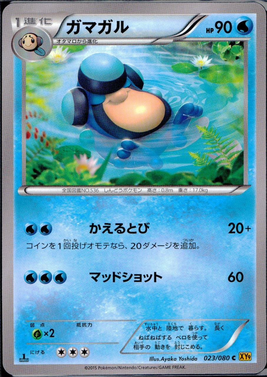 023/080/C/XY9/B ガマガル