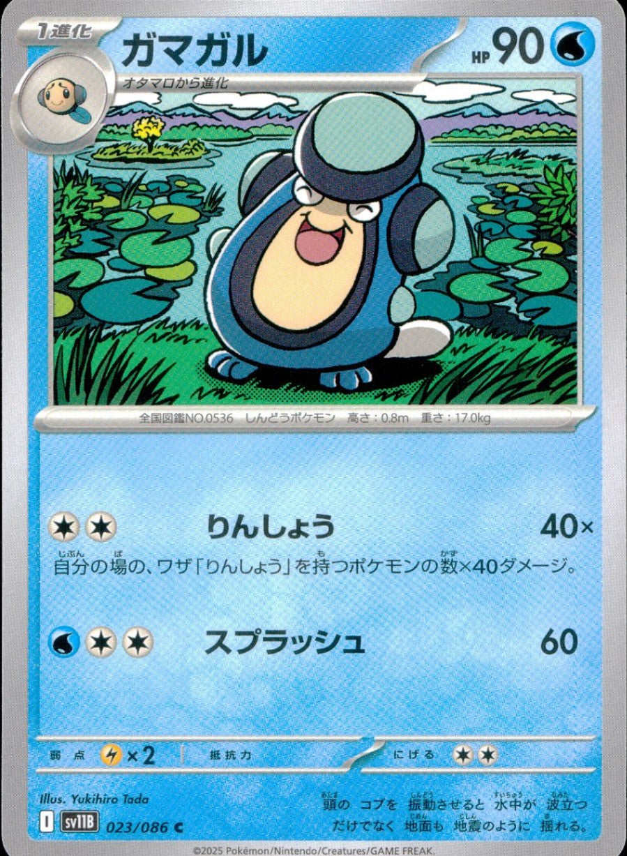 023/086/SV11B/B/C ガマガル