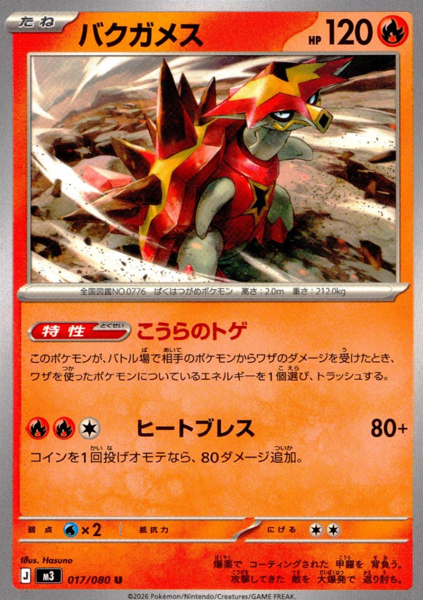 017/080/M3/U バクガメス