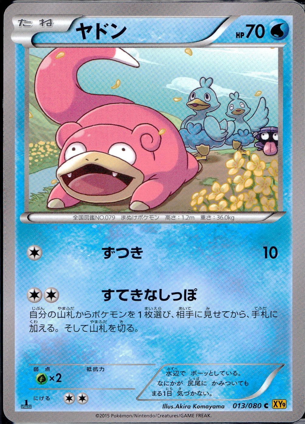 013/080/C/XY9/B ヤドン