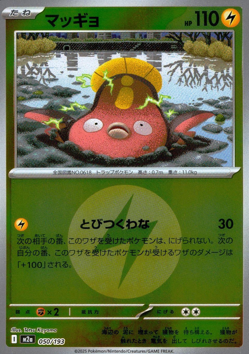 050/193/M2a/MB2 マッギョ(エネルギーミラー)