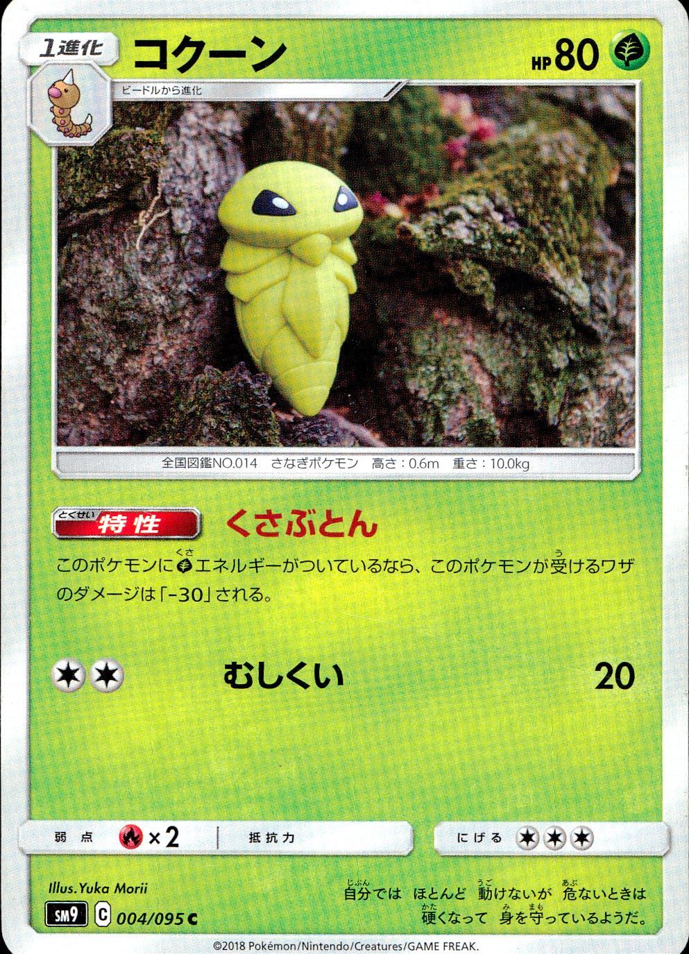 004/095/SM9/B/C コクーン