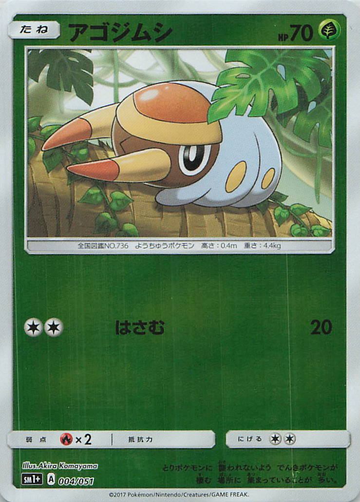004/051/SM1+/アゴジムシ