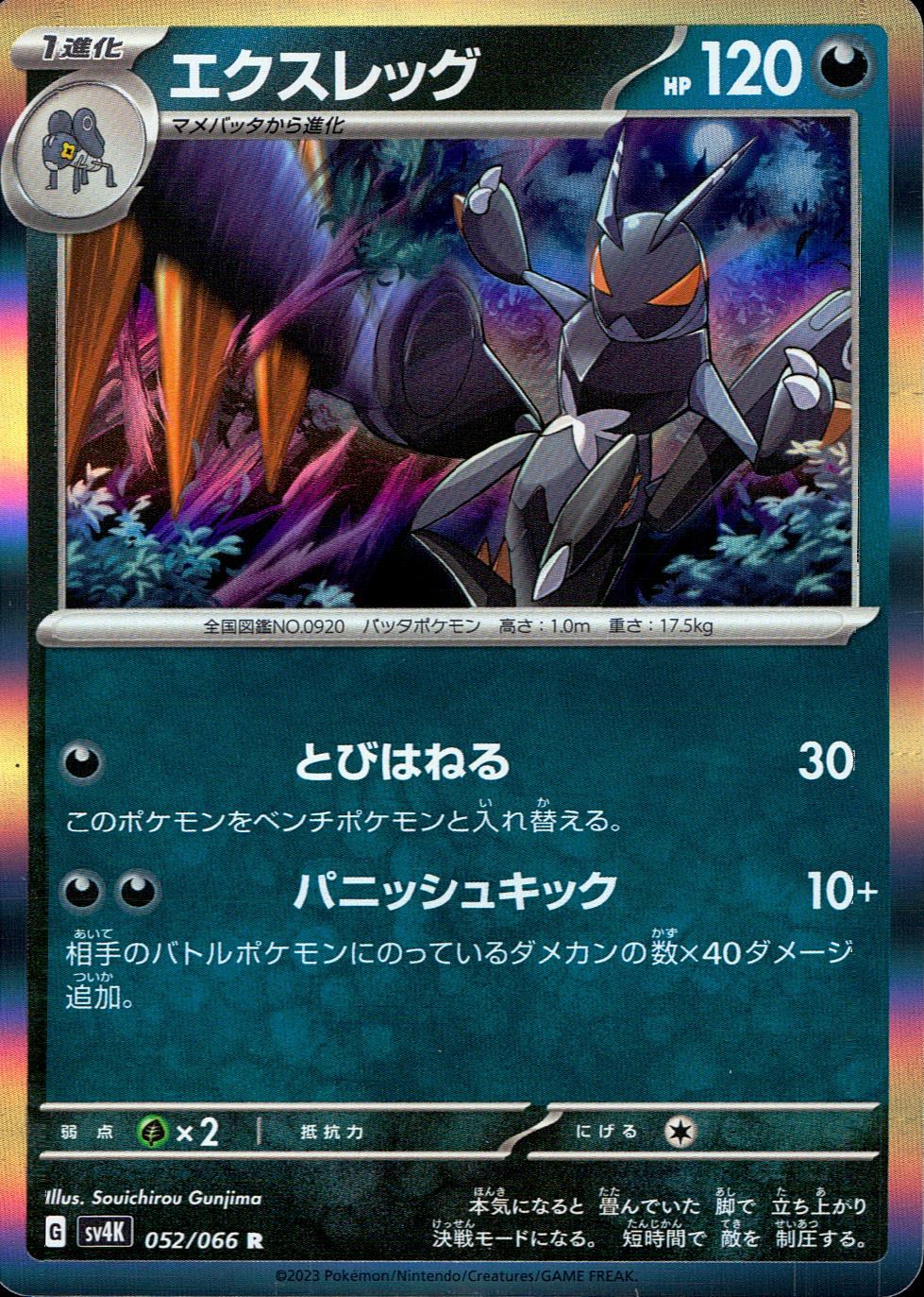 052/066/SV4K/B/R エクスレッグ