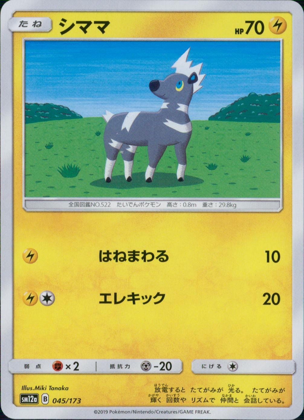 045/173/SM12A/シママ