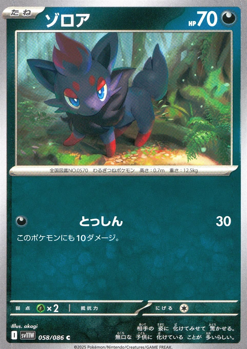058/086/SV11W/B/C ゾロア