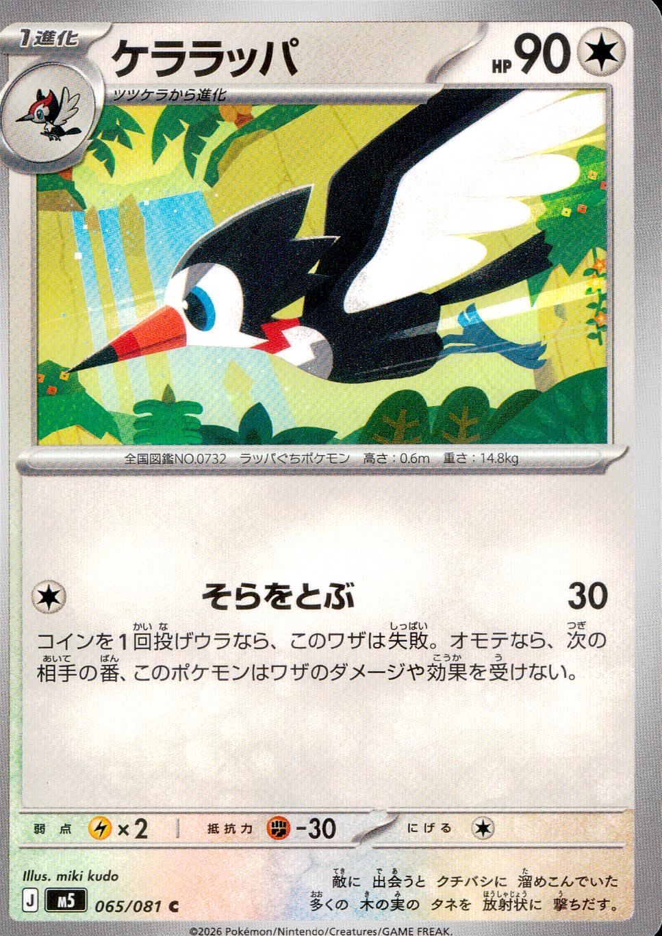 065/081/M5/C ケララッパ