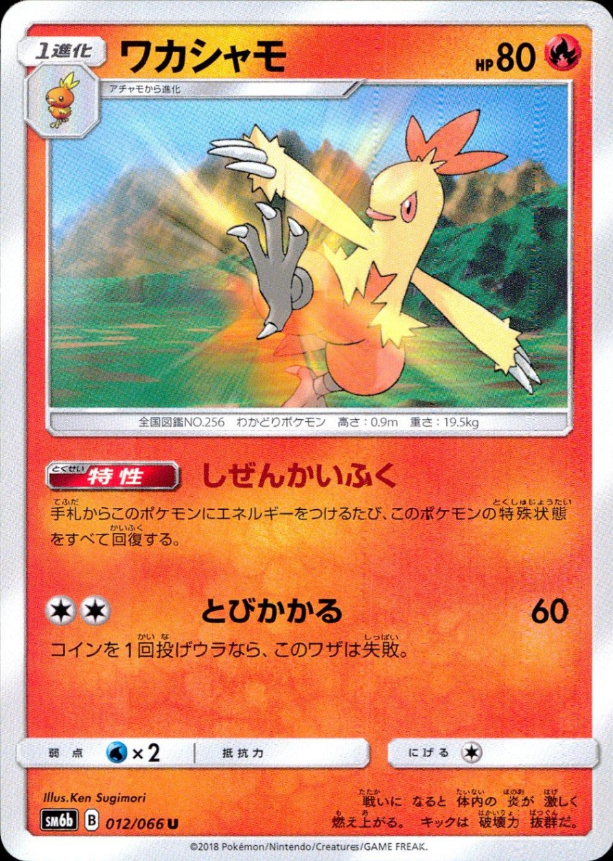 012/066/SM6B/ワカシャモ
