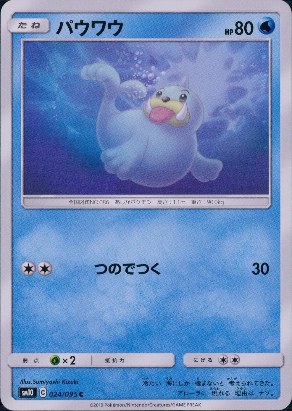 024/095/SM10/B/C パウワウ
