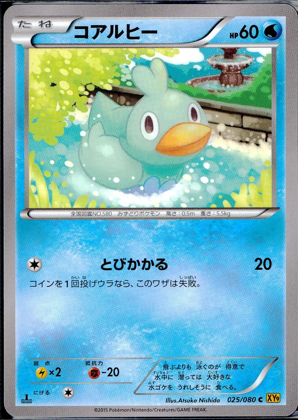 025/080/C/XY9/B コアルヒー