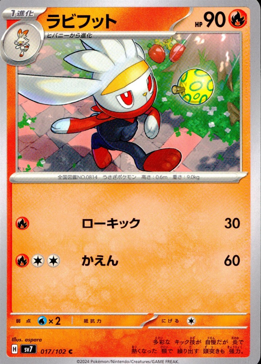 017/102/SV7/B/C ラビフット
