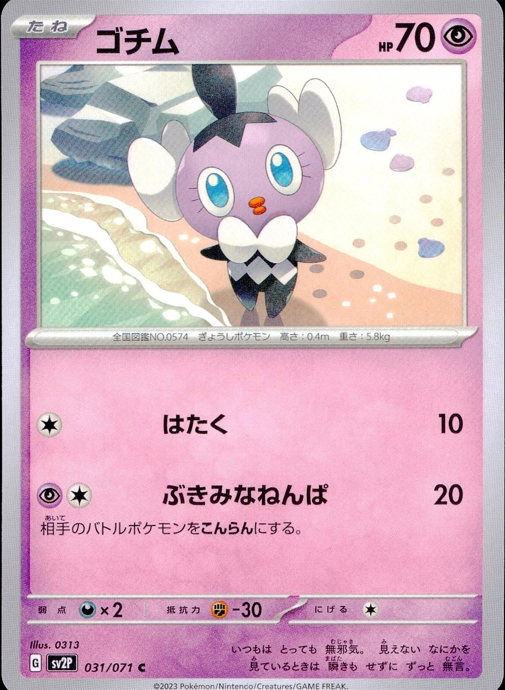 031/071/SV2P/B/C Gochim