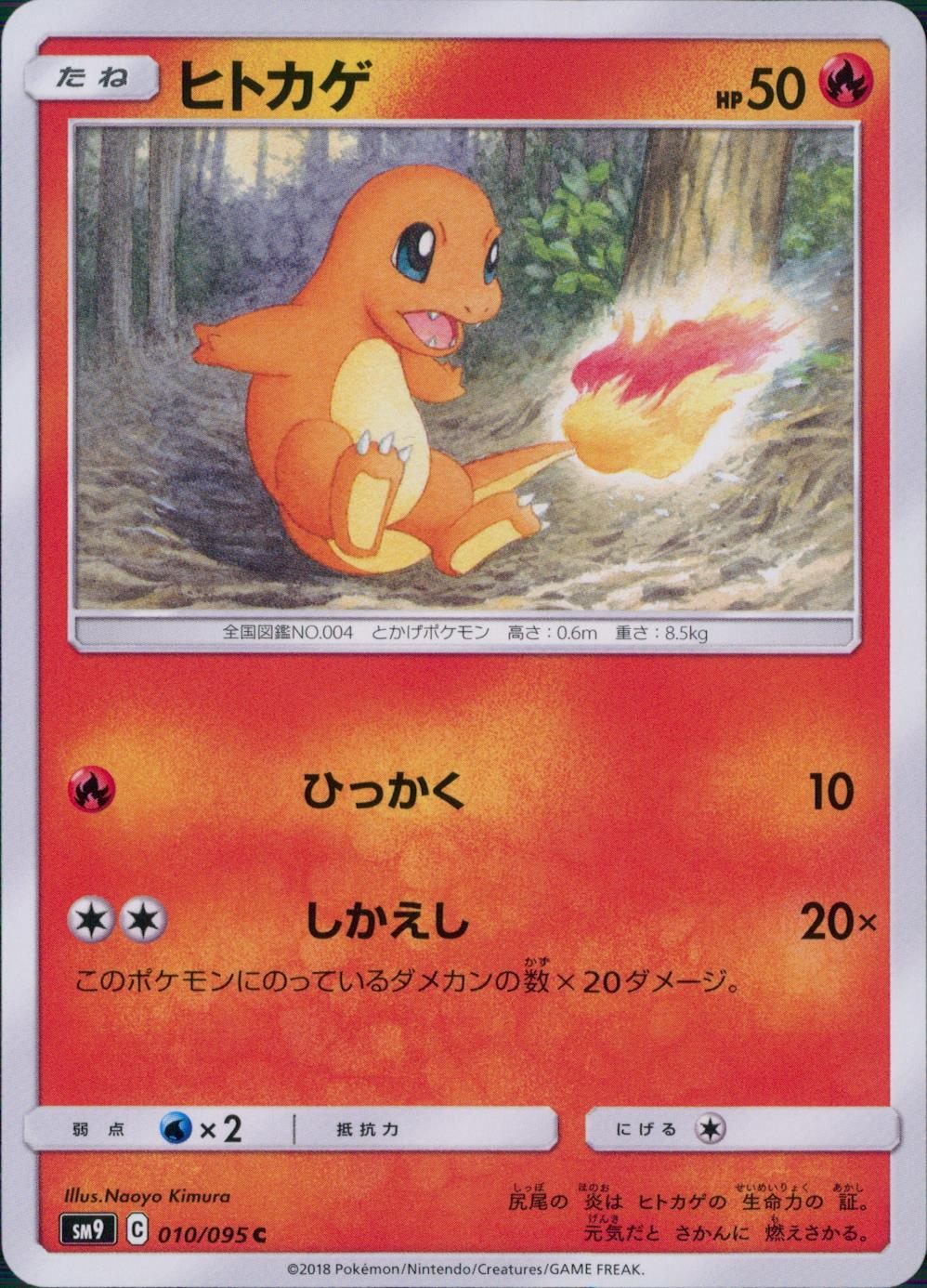 010/095/SM9/B/C ヒトカゲ