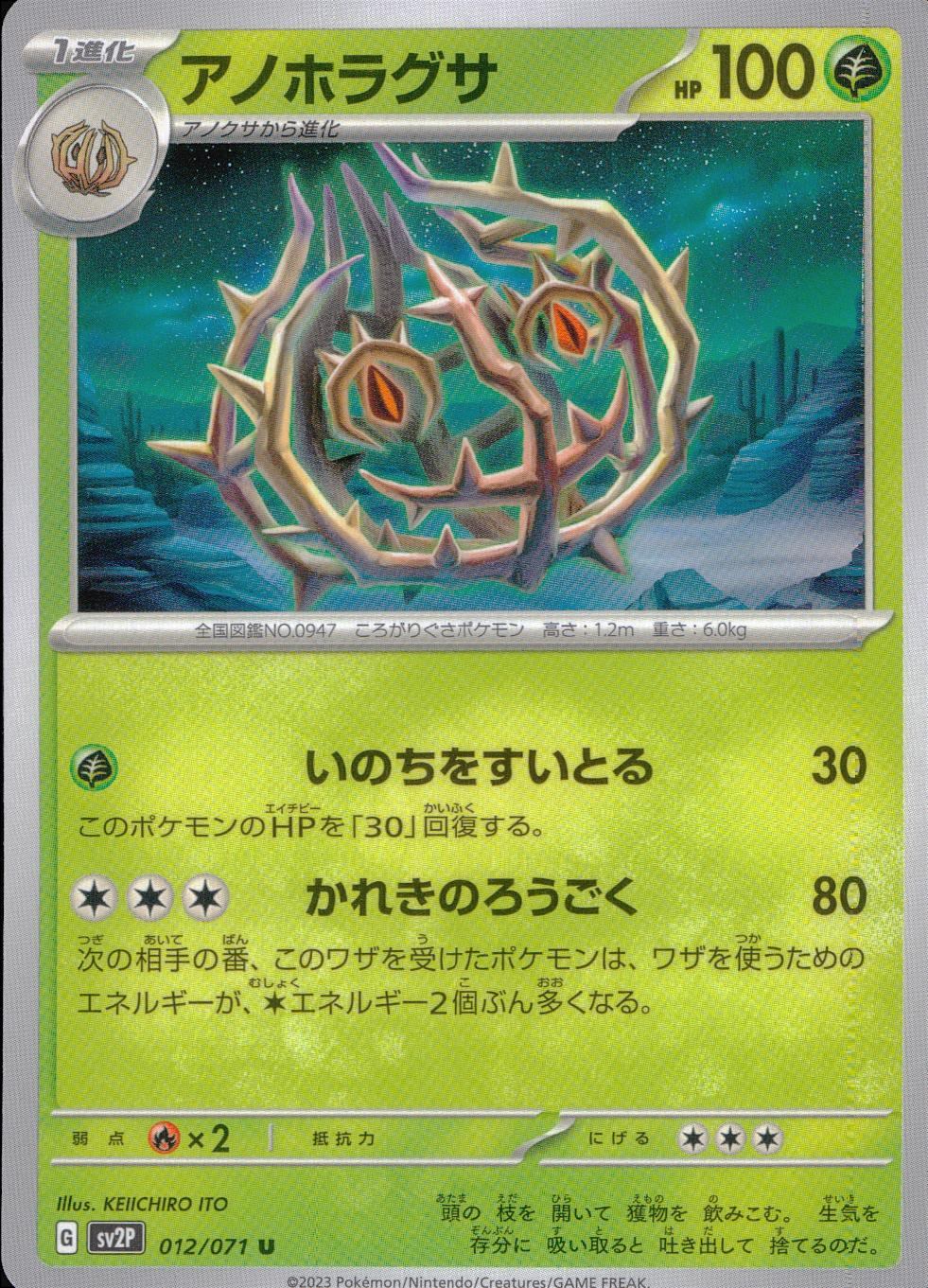 012/071/SV2P/B/U Anohoragusa