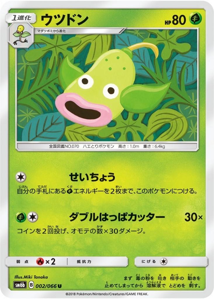 002/066/SM6B/ウツドン