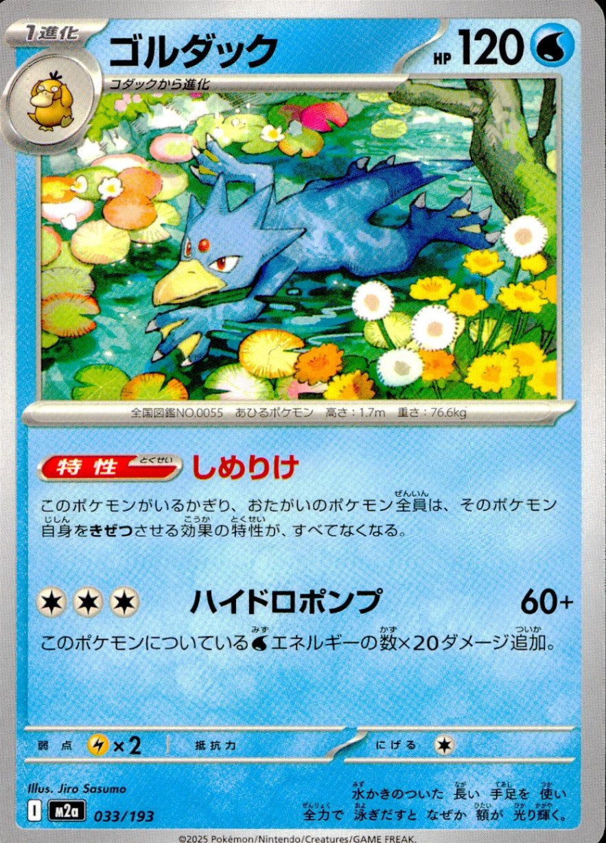 033/193/M2a ゴルダック