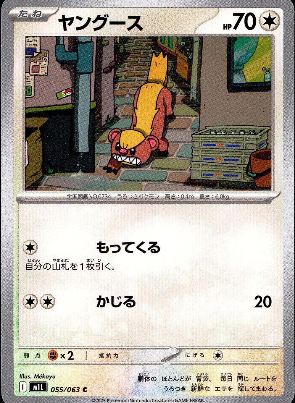 055/063/M1L/B/C ヤングース