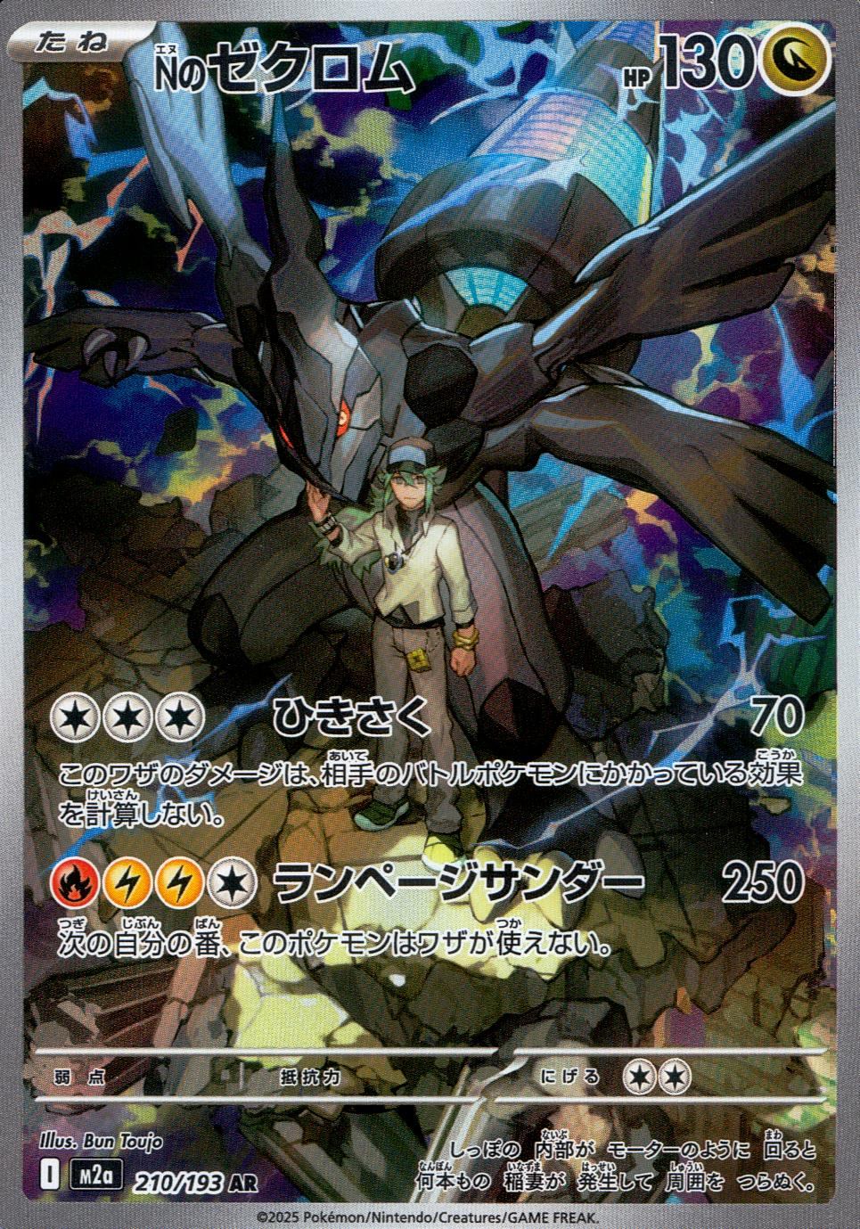 210/193/M2a/AR Nのゼクロム