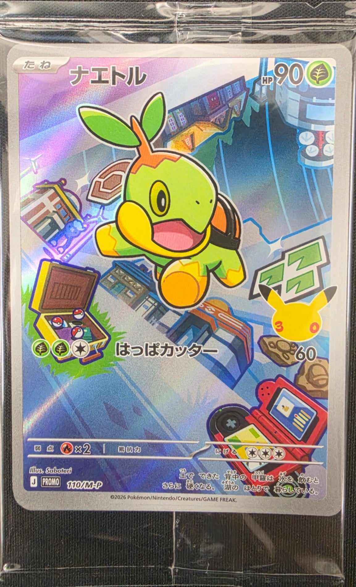 カテゴリー/ポケモン
