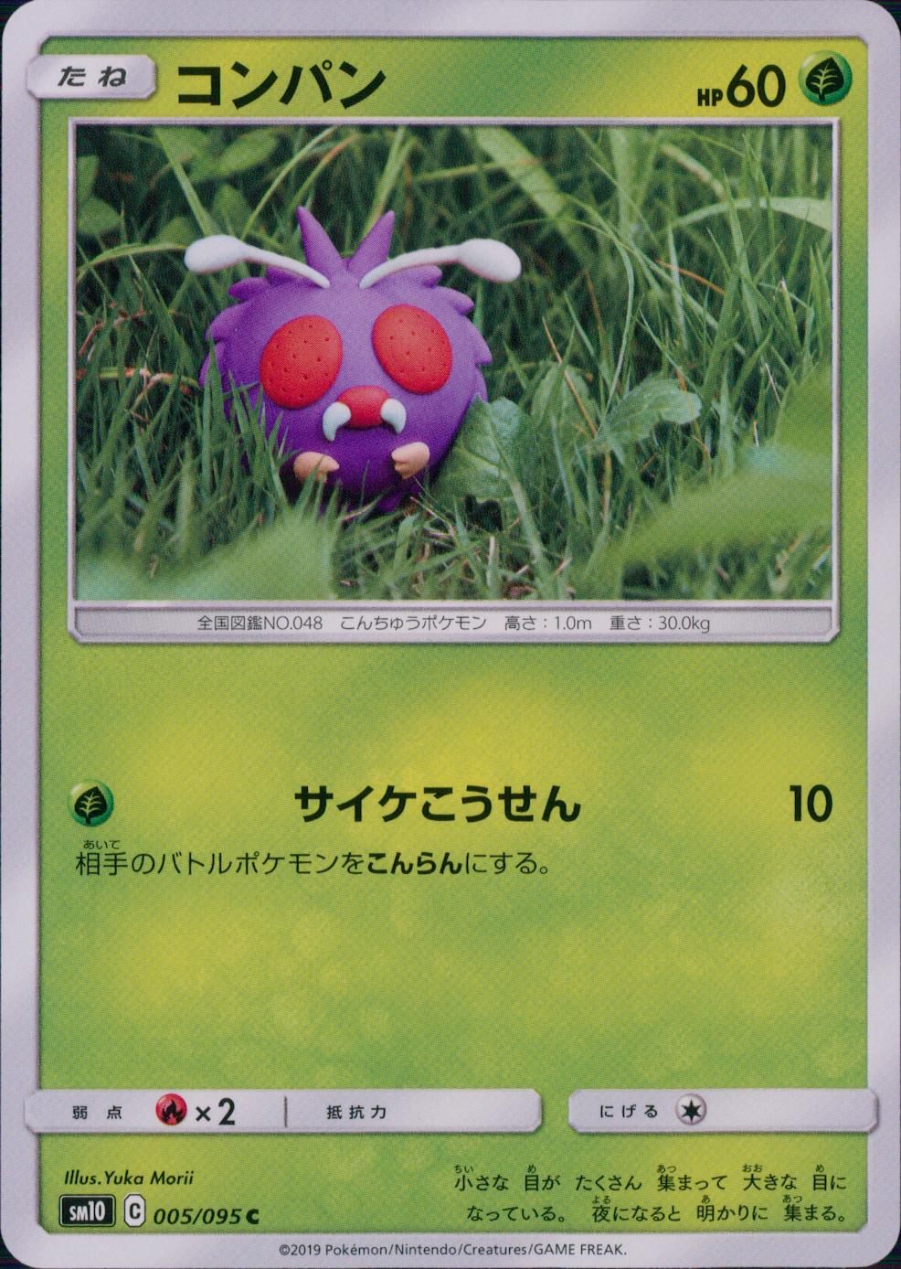 005/095/SM10/B/C コンパン