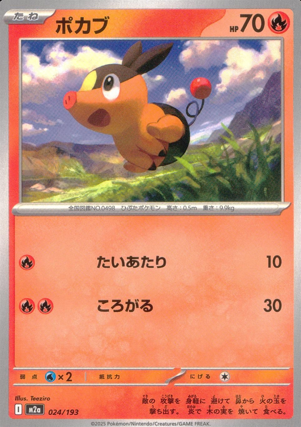 024/193/M2a ポカブ