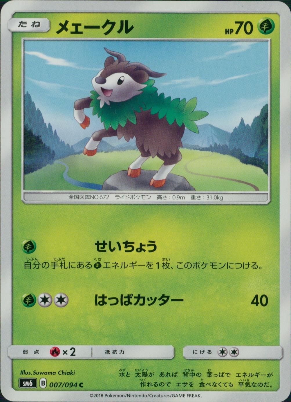 007/094/SM6/メェークル