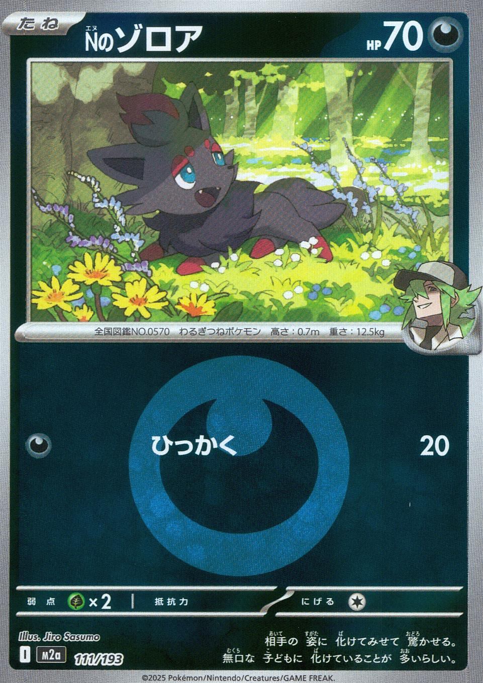 111/193/M2a Nのゾロア