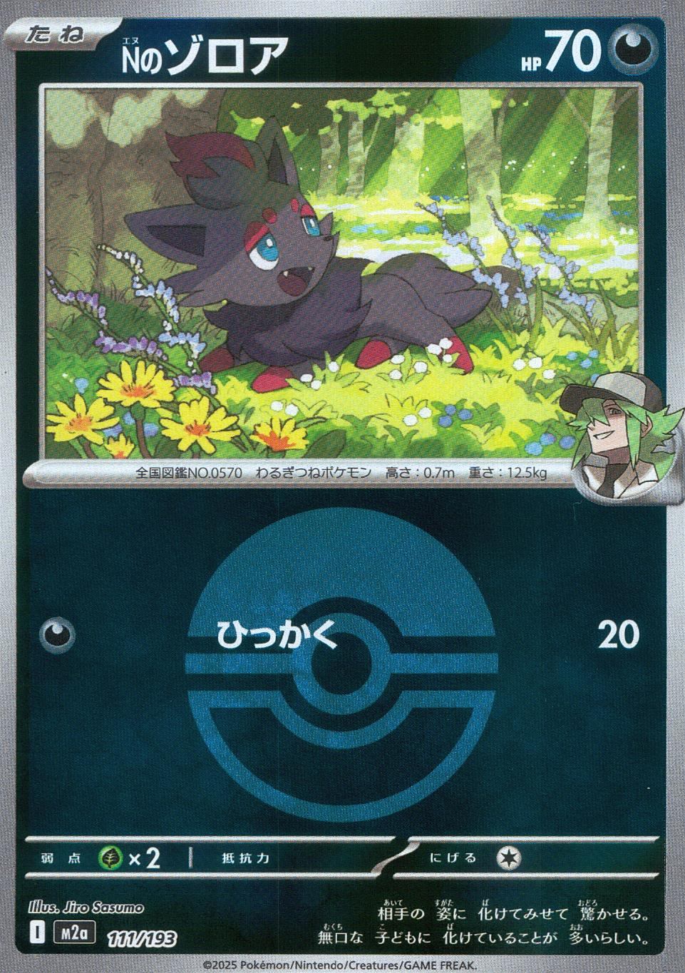 111/193/M2a/MB Nのゾロア(ボールミラー)