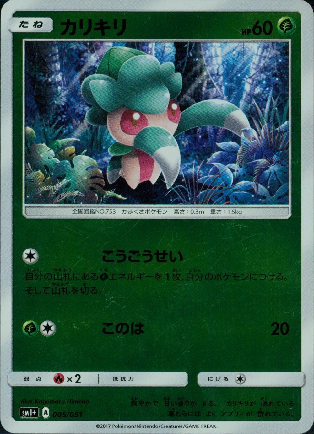 005/051/SM1＋/カリキリ