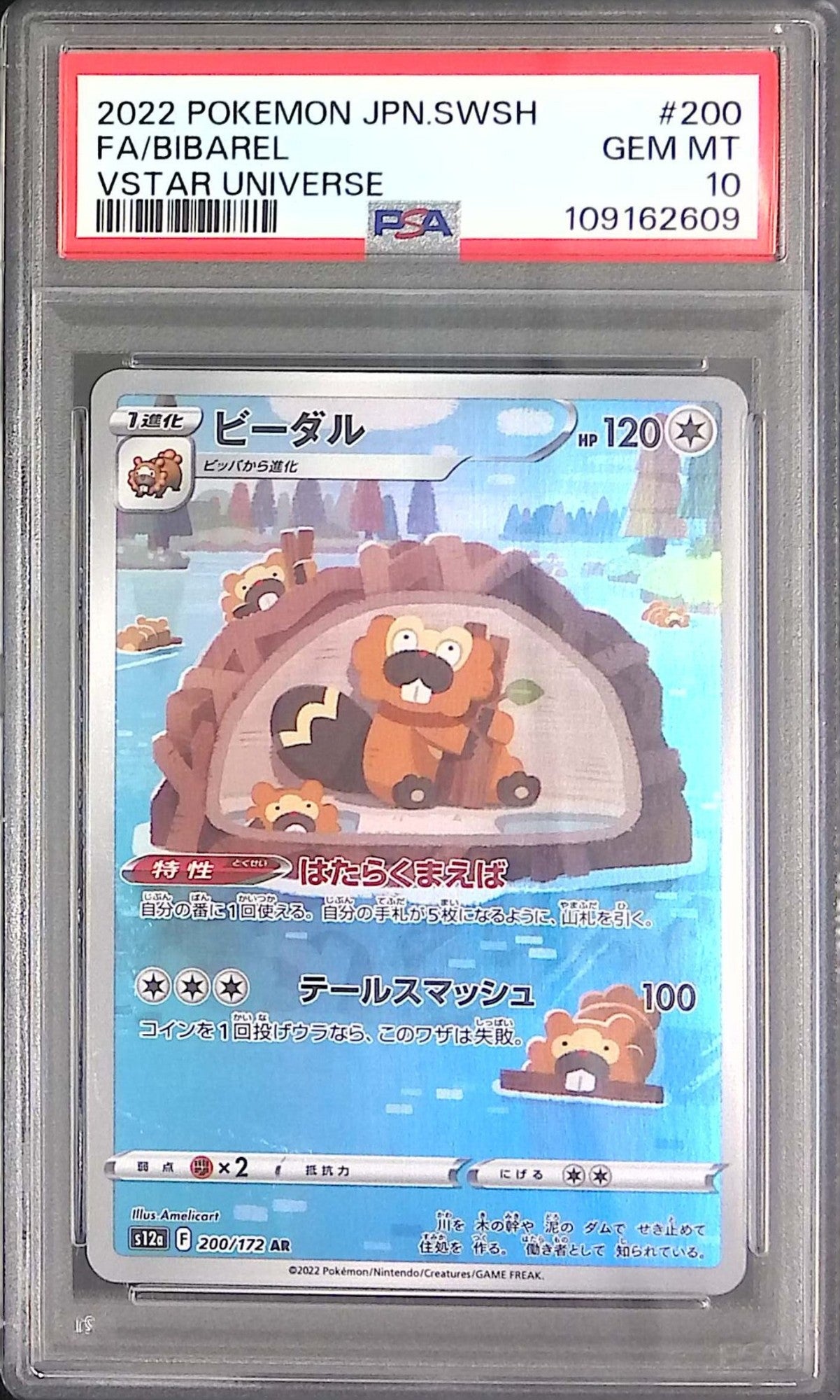 200/172/S12A/AR Bidal PSA10 109162609